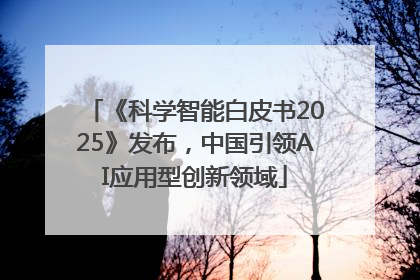 《科学智能白皮书2025》发布，中国引领AI应用型创新领域