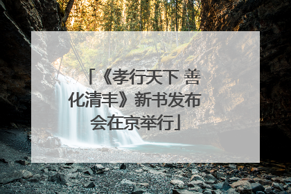 《孝行天下 善化清丰》新书发布会在京举行