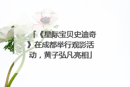 《星际宝贝史迪奇》在成都举行观影活动，黄子弘凡亮相