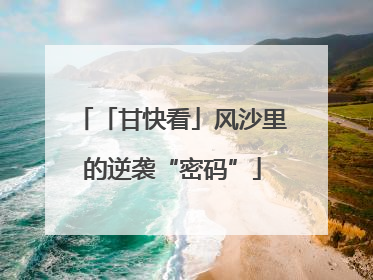 「甘快看」风沙里的逆袭“密码”