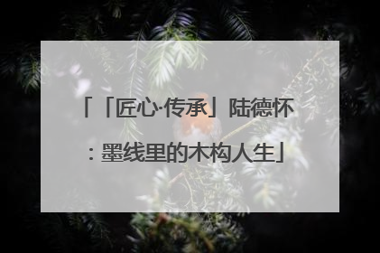 「匠心·传承」陆德怀：墨线里的木构人生