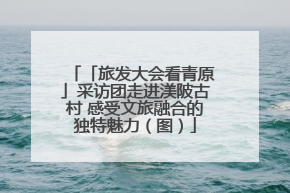 「旅发大会看青原」采访团走进渼陂古村 感受文旅融合的独特魅力（图）