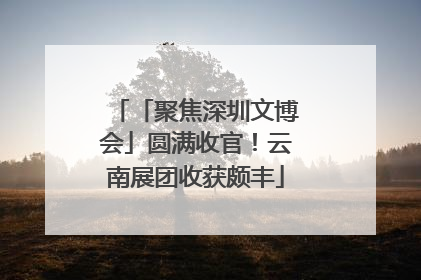「聚焦深圳文博会」圆满收官！云南展团收获颇丰