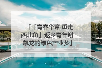 「青春华章·重走西北角」返乡青年谢凯龙的绿色产业梦