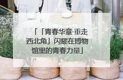 「青春华章·重走西北角」闪耀在博物馆里的青春力量