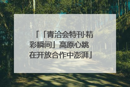 「青洽会特刊·精彩瞬间」高原心跳 在开放合作中澎湃
