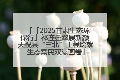 「2025甘肃生态环保行」祁连叠翠展新颜 天祝县“三北”工程绘就生态富民双赢画卷