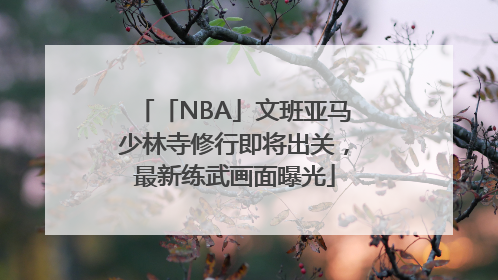 「NBA」文班亚马少林寺修行即将出关，最新练武画面曝光