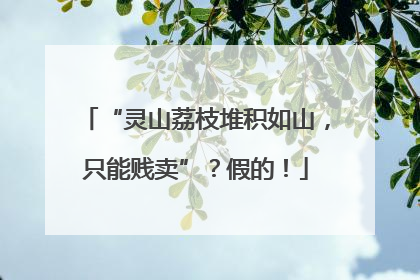 “灵山荔枝堆积如山，只能贱卖”？假的！