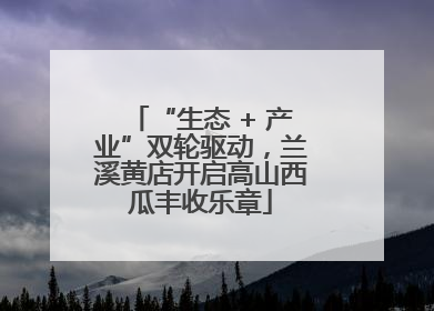 “生态 + 产业”双轮驱动，兰溪黄店开启高山西瓜丰收乐章