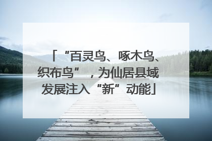 “百灵鸟、啄木鸟、织布鸟”，为仙居县域发展注入“新”动能
