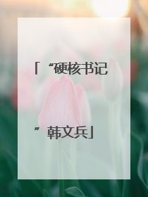 “硬核书记”韩文兵