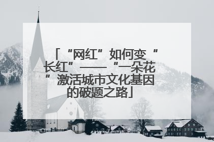 “网红”如何变“长红”——“一朵花”激活城市文化基因的破题之路