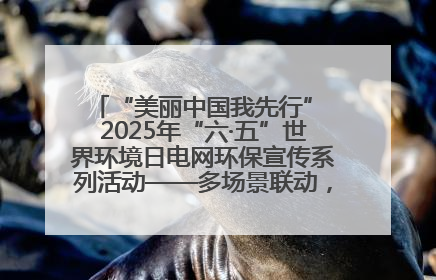 “美丽中国我先行” 2025年“六·五”世界环境日电网环保宣传系列活动——多场景联动，共筑生态发展新图景