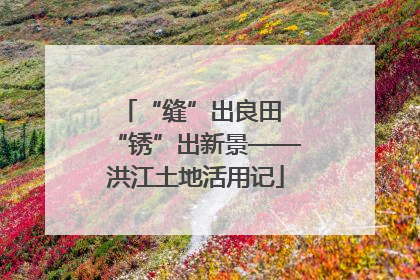 “缝”出良田 “锈”出新景——洪江土地活用记