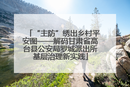“主防”绣出乡村平安图——解码甘肃省高台县公安局罗城派出所基层治理新实践