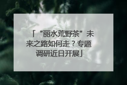 “丽水荒野茶”未来之路如何走？专题调研近日开展
