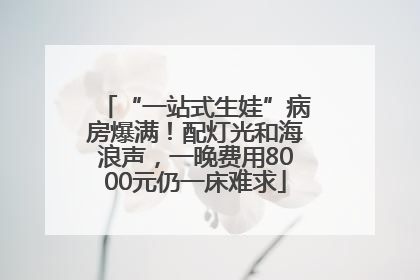 “一站式生娃”病房爆满！配灯光和海浪声，一晚费用8000元仍一床难求