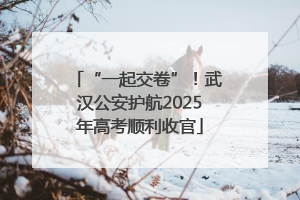 “一起交卷”！武汉公安护航2025年高考顺利收官
