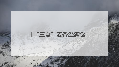 “三夏”麦香溢满仓