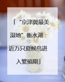 “京津冀最美湿地”衡水湖：近万只夏候鸟进入繁殖期