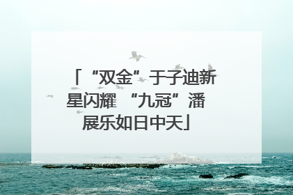 “双金”于子迪新星闪耀 “九冠”潘展乐如日中天