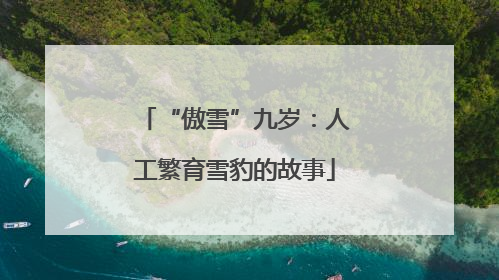 “傲雪”九岁：人工繁育雪豹的故事