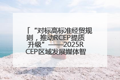 “对标高标准经贸规则，推动RCEP提质升级”——2025RCEP区域发展媒体智库论坛举行专题对话