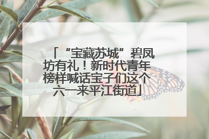 “宝藏苏城”碧凤坊有礼！新时代青年榜样喊话宝子们这个六一来平江街道