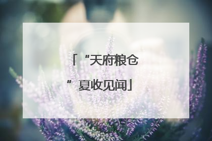 “天府粮仓”夏收见闻