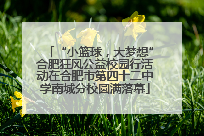 “小篮球，大梦想”合肥狂风公益校园行活动在合肥市第四十二中学南城分校圆满落幕