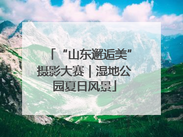 “山东邂逅美”摄影大赛｜湿地公园夏日风景