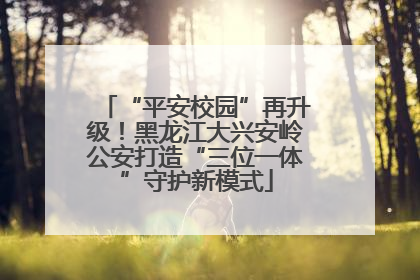 “平安校园”再升级！黑龙江大兴安岭公安打造“三位一体”守护新模式