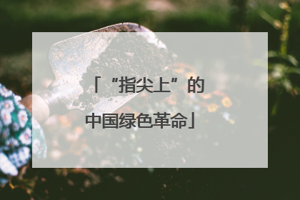 “指尖上”的中国绿色革命