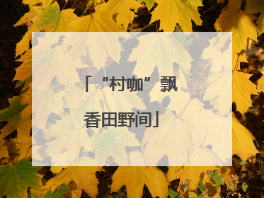 “村咖”飘香田野间