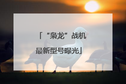 “枭龙”战机最新型号曝光