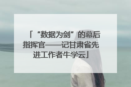 “数据为剑”的幕后指挥官——记甘肃省先进工作者牛学云