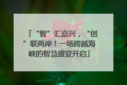 “智”汇嘉兴，“创”联两岸！一场跨越海峡的智慧盛宴开启
