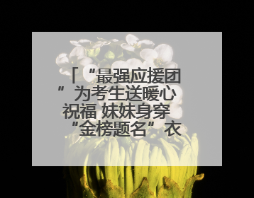 “最强应援团”为考生送暖心祝福 妹妹身穿“金榜题名”衣服为哥哥加油