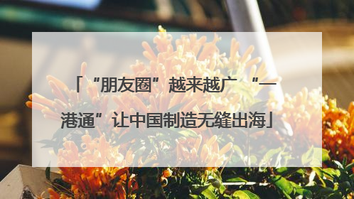 “朋友圈”越来越广 “一港通”让中国制造无缝出海
