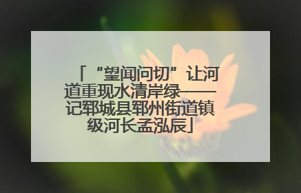 “望闻问切”让河道重现水清岸绿——记郓城县郓州街道镇级河长孟泓辰