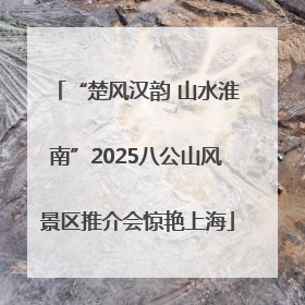 “楚风汉韵 山水淮南”2025八公山风景区推介会惊艳上海