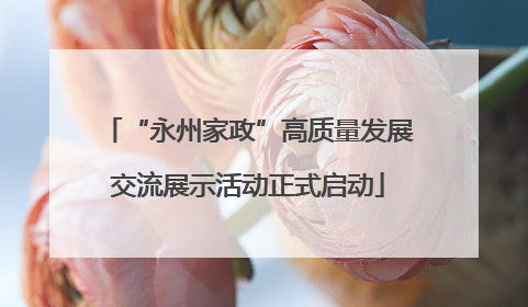 “永州家政”高质量发展交流展示活动正式启动