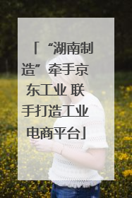 “湖南制造”牵手京东工业 联手打造工业电商平台