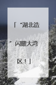 “湖北造”闪耀大湾区！