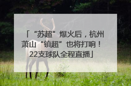 “苏超”爆火后，杭州萧山“镇超”也将打响！22支球队全程直播