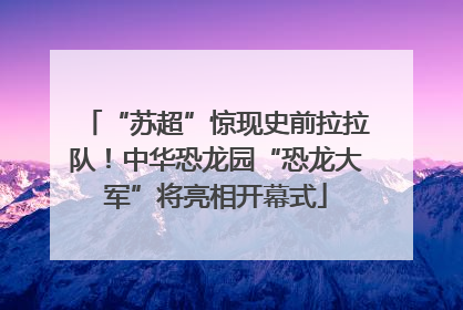“苏超”惊现史前拉拉队！中华恐龙园“恐龙大军”将亮相开幕式
