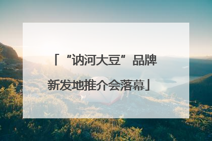 “讷河大豆”品牌新发地推介会落幕