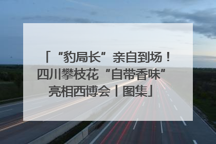 “豹局长”亲自到场！四川攀枝花“自带香味”亮相西博会丨图集
