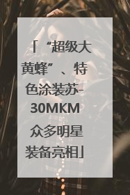 “超级大黄蜂”、特色涂装苏-30MKM 众多明星装备亮相
